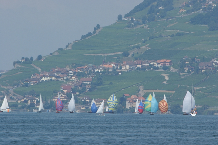 Regate Vieux Bateaux - 167 - 2008